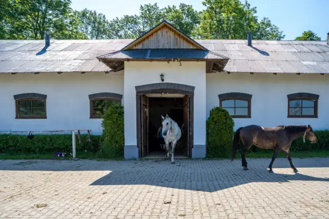 Stadnina koni Łopuszna - wyjątkowe lekcje jazdy i atrakcje dla każdego