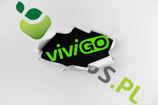 Vivus raty: Jak rozłożyć chwilówkę? Warunki i proces