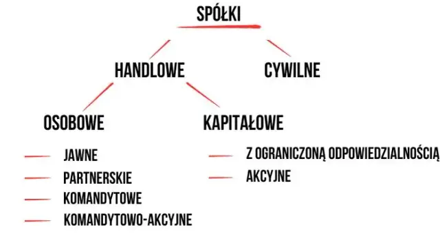 Spółki: Rodzaje, odpowiedzialność. Jak wybrać idealną dla firmy?