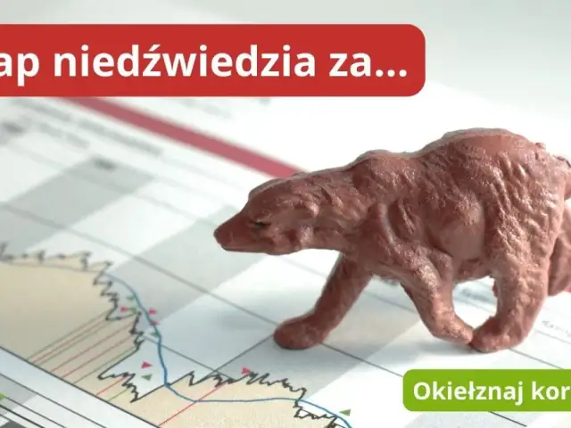 Belgijska giełda: najważniejsze informacje o rynku akcji BEL 20