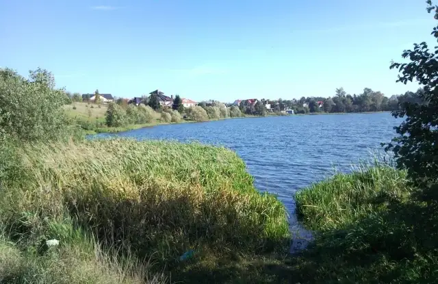 Jezioro Tuchomskie: piękne miejsce z ekologicznymi wyzwaniami i atrakcjami