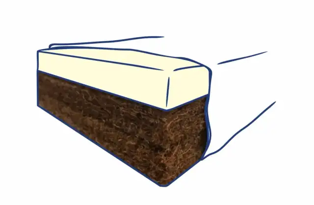 Materac bez pluskiew: Jak skutecznie zwalczyć i zapobiec nawrotom?