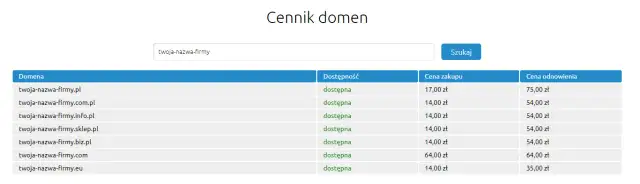 Domena internetowa: Co to jest, jak działa i ile kosztuje?