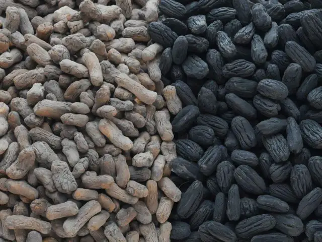 Czy groszek to to samo co ekogroszek? Odkryj kluczowe różnice