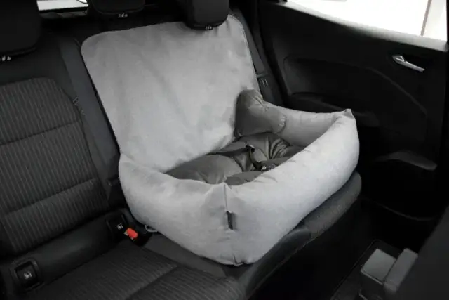 Jak wybrać idealny fotelik samochodowy dla psa, aby zapewnić bezpieczeństwo?