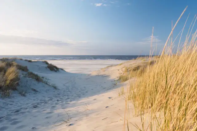 Z Mesko na plażę w Kołobrzegu: Tylko 3 minuty! Poznaj szczegóły