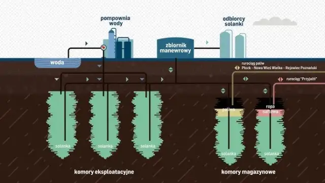 Jak powstaje ropa naftowa? Od planktonu do paliwa