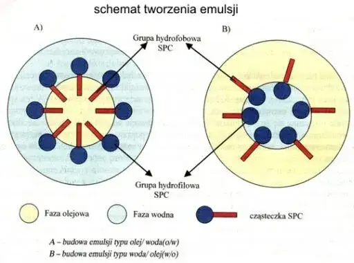 Mechanizm prania chemia: jak detergenty skutecznie usuwają brud