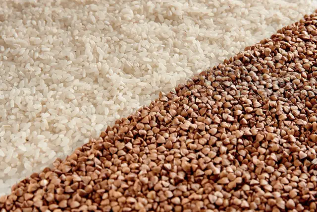 Ryż czy kasza dla psa? Co wybrać dla zdrowia i trawienia?