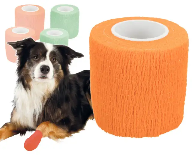 Gdzie kupić bandaż dla psa? Szybka pomoc i wybór