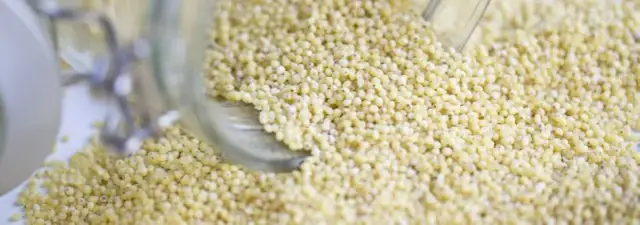 Kasza jaglana z czym podawać – najlepsze pomysły na dania