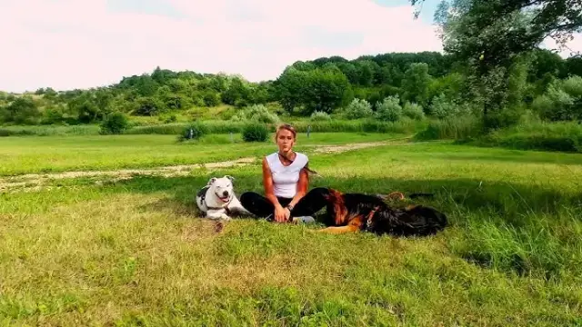 Kiedy zacząć szkolić szczeniaka? Odpowiedź Cię zaskoczy!