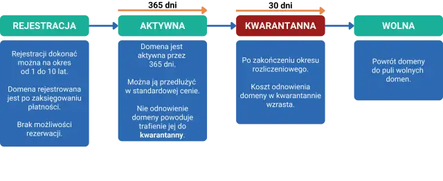 Do kiedy wygasa domena? Sprawdź datę i cykl życia + odzyskiwanie