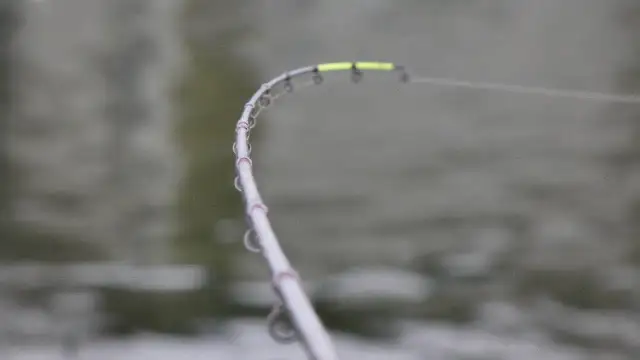 Wędkarstwo w styczniu: Co łowić teraz? Ryby, techniki, PZW