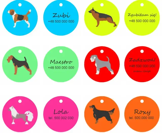 Adresówka dla psa co napisać, aby szybko odzyskać zwierzę