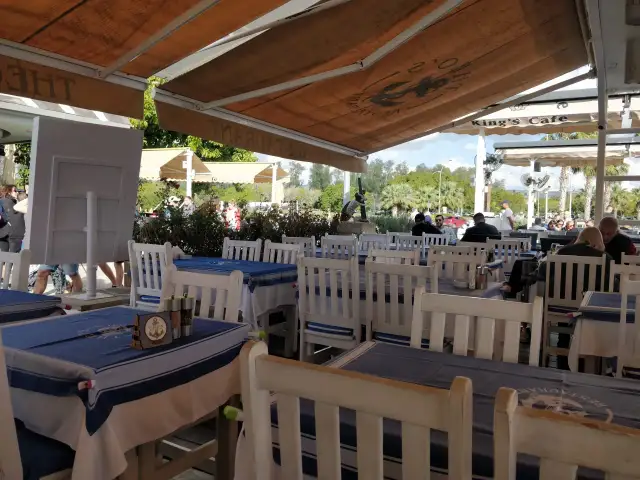 Uroczy ogródek restauracyjny w Larnace z niebiesko-białymi obrusami. Idealne miejsce, by dowiedzieć się, co i gdzie zjeść w Larnace.