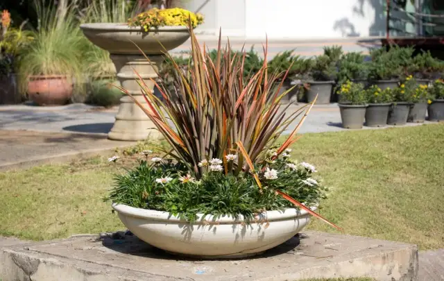 Jak ozdobić krąg betonowy w ogrodzie – proste sposoby na piękno