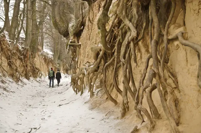Kazimierz Dolny: atrakcje, wąwozy, rejsy. Jak zaplanować wyjazd?