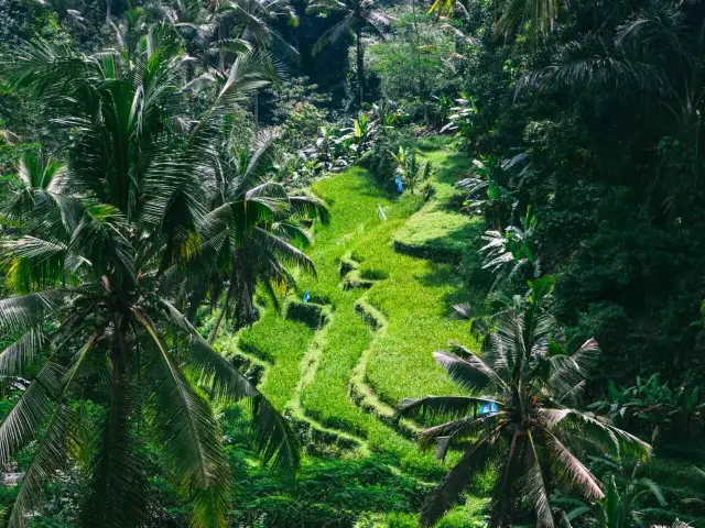 Lazy Z Spa Ubud: Polska oaza relaksu na Bali czy warto?