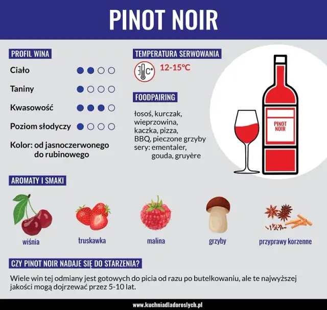 Pinot Noir: Jaki to smak? Odkryj jego tajemnice i połączenia