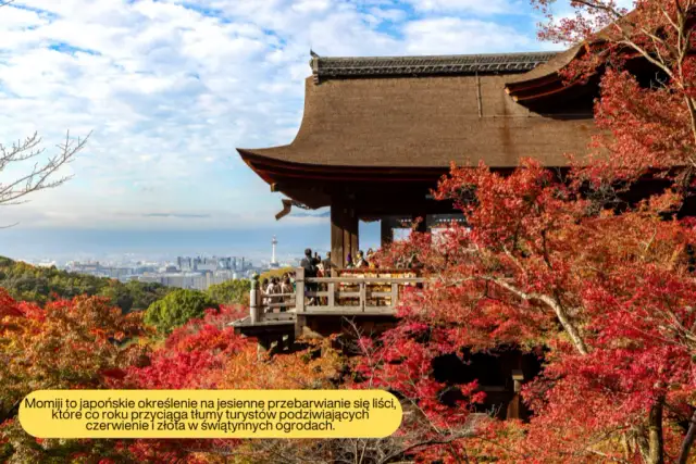 Kiedy najlepiej jechać do Japonii, aby uniknąć tłumów i cieszyć się pięknem krajobrazów