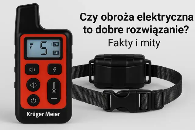 Czy obroża elektryczna jest bezpieczna dla psa? Poznaj fakty