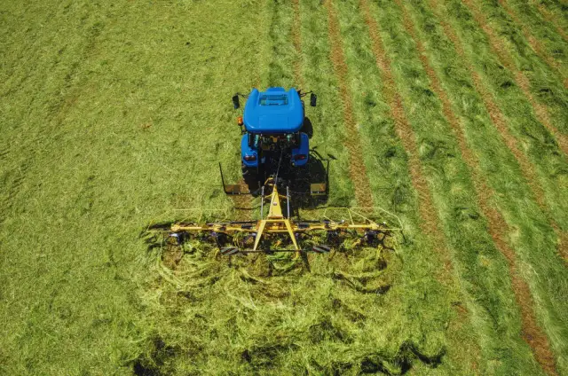 Jaki nawóz na drugi pokos? Sprawdź, jak poprawić plony trawy