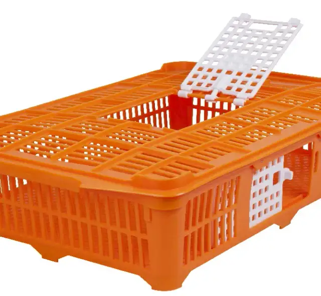 Najlepsze transportery dla drobiu – zapewnij bezpieczeństwo ptakom