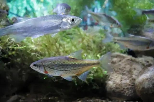 Gdzie na ryby z noclegiem? Najlepsze lokalizacje w Polsce na wędkowanie