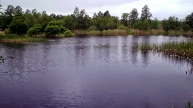 Łowisko Mińsk Mazowiecki: najlepsze miejsca na udany połów ryb