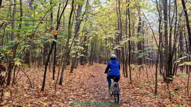Odkryj Lasek Bielański: Atrakcje, szlaki, klasztor Kamedułów
