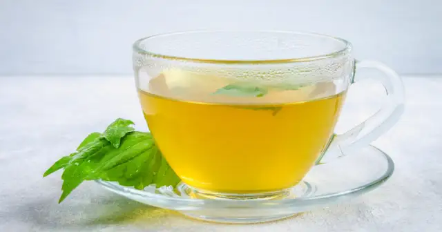 Herbata z pokrzywy: Ile pić, by pomogła, a nie zaszkodziła?