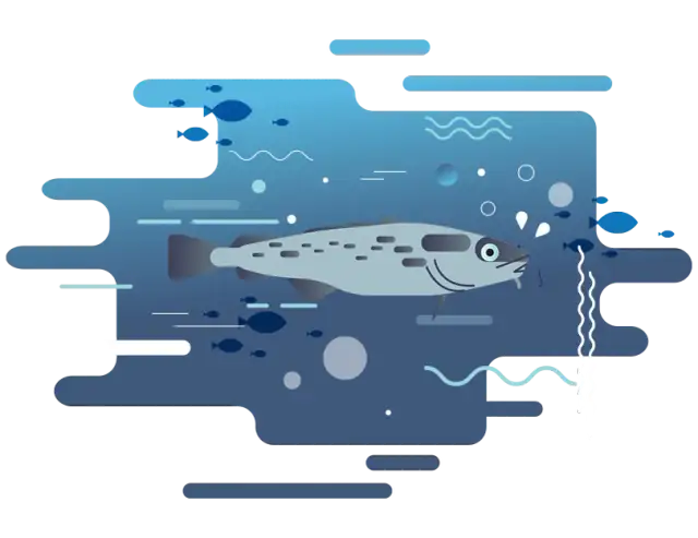 Jakie ryby są w Bałtyku? Odkryj najważniejsze gatunki i ich znaczenie