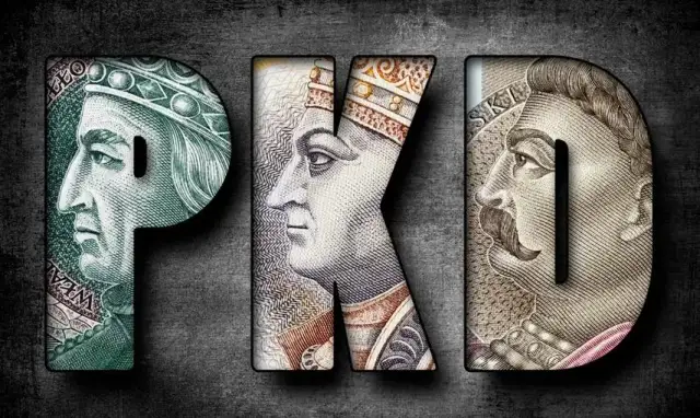 Ryczałt 15 jakie PKD – sprawdź, które kody pozwalają oszczędzać