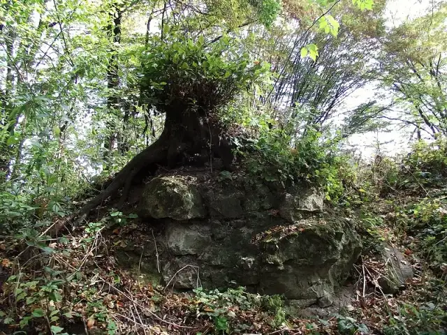 Rezerwat przyrody Golesz - fascynujące formacje i bogata fauna