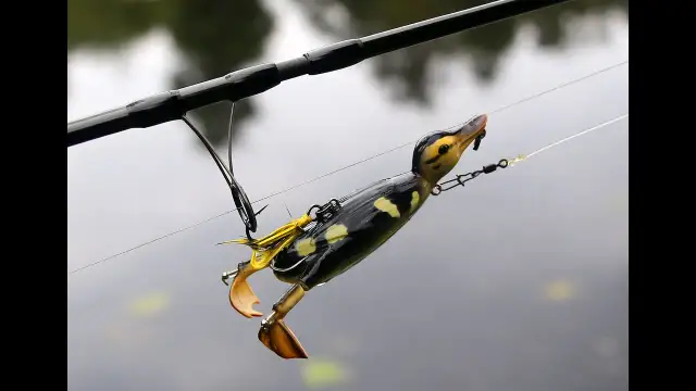 Jak przynęta kaczka przyciąga ryby? Sprawdź skuteczność i techniki