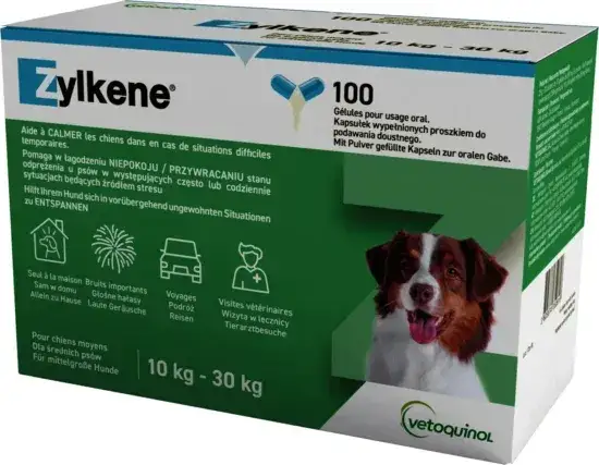 Leki dla psa: Gdzie kupić legalnie? Uniknij toksycznych pomyłek!