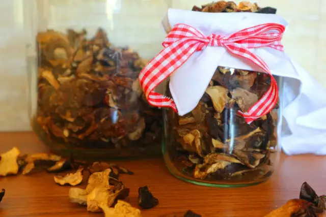 Jak prawidłowo przechowywać grzyby halucynogenne, aby nie straciły mocy