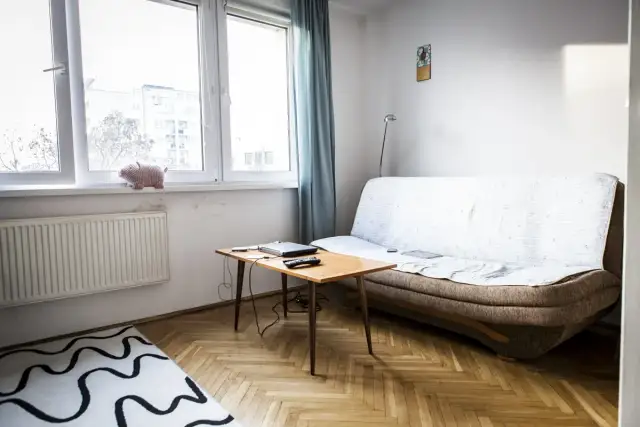 Jak urządzić małe mieszkanie 20 m? Wygodna kanapa, stolik z laptopem i urocza świnka na parapecie.