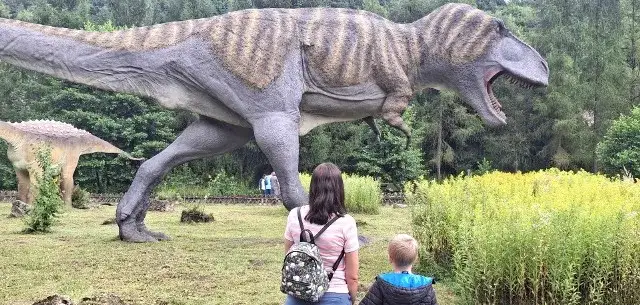 Najlepsze atrakcje w Bałtowie, które musisz odwiedzić w tym roku