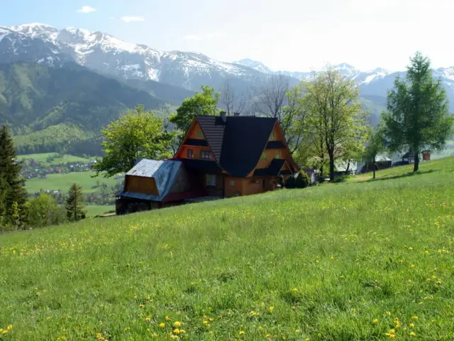 Twój przewodnik po Zakopanem: Atrakcje na każdą pogodę i budżet