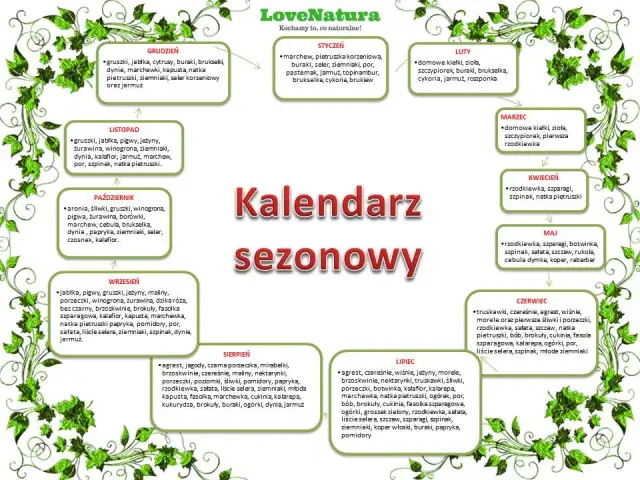 Kiedy sezon na cukinie? Lipiec i sierpień smak i oszczędność