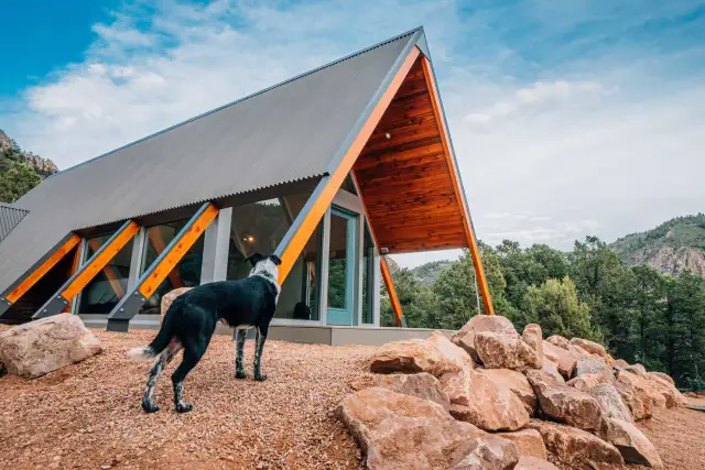 Myślę, że "Hotel z psem: przewodnik krok po kroku. Bezstresowy wyjazd!" będzie odpowiednim tytułem.