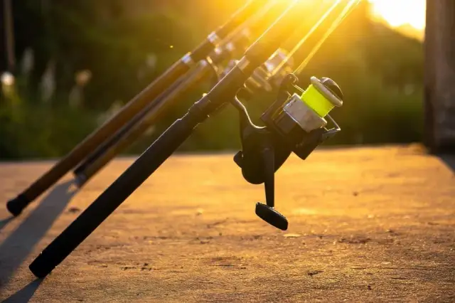 Jaka długość wędki na spławik? Wybierz idealną długość dla siebie