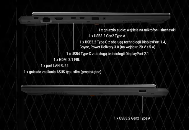 Myśli Kamil Górski: Idealne zabawki dla szczeniaka poradnik eksperta