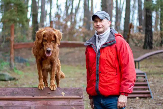 Jak tresować golden retrievera: skuteczne metody na posłusznego psa