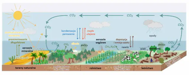 Co modyfikuje klimat i jak uniknąć negatywnych skutków zmian?