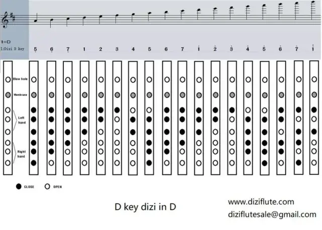 Jak zagrać re2 na flecie - proste kroki, które musisz znać