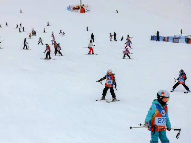Gdzie na narty blisko Warszawy? Porównuję stoki i ceny!