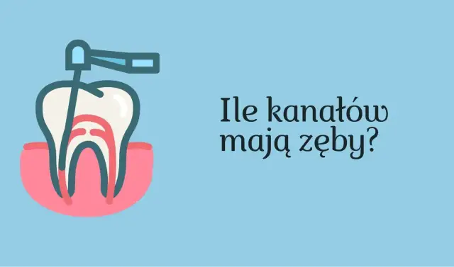 Ząb 5 ile ma kanałów? Odkryj zaskakujące różnice w budowie